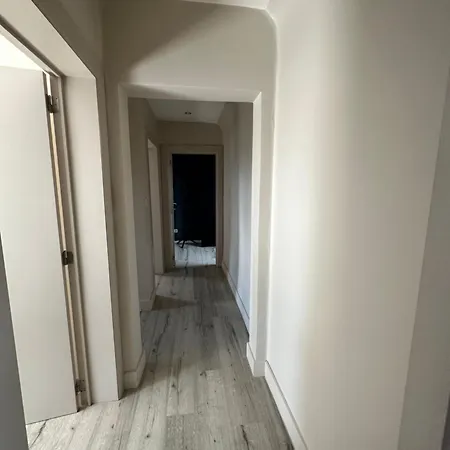 The 75 Renovated Work Or