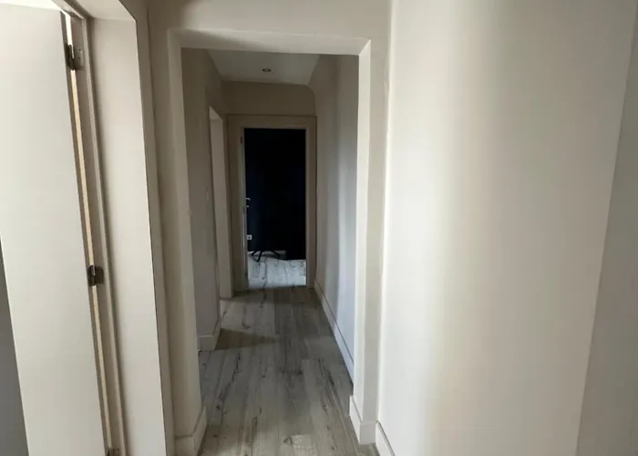 The 75 Renovated Work Or